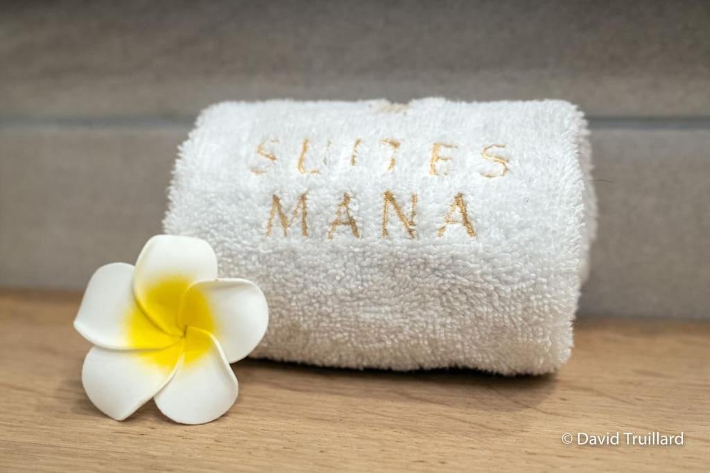 Suites Mana - Matahina Avec Vue Superbe Sur La Place Ducale Et Parking Prive Inclus Charleville-Mézières Eksteriør billede